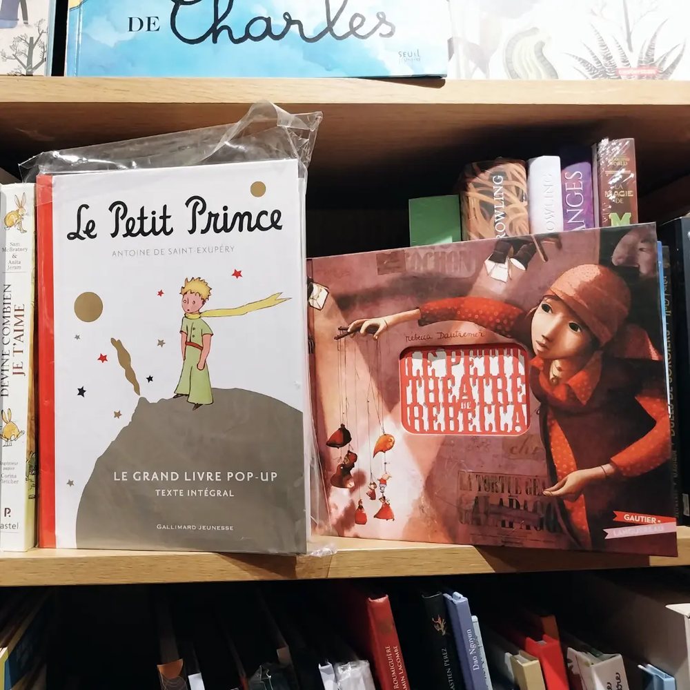 Livres pop-up et grands albums