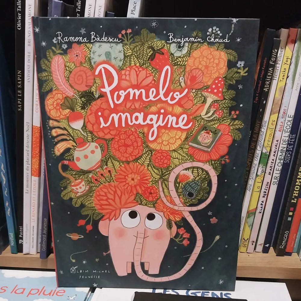 Album illustré du rayon jeunesse